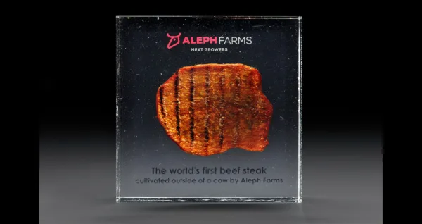 First beef steak grown out of a cow. The Future of Food exhibition.