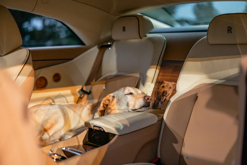 Rolls-Royce Spectre Bailey