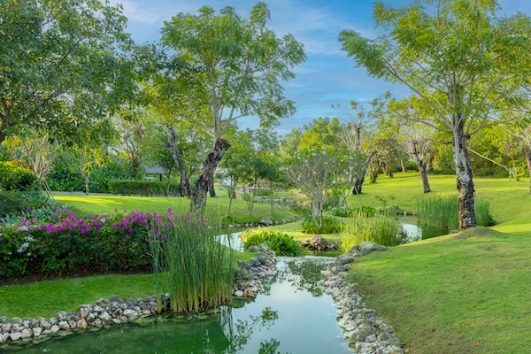 Wellbeing river at Raffles Bali