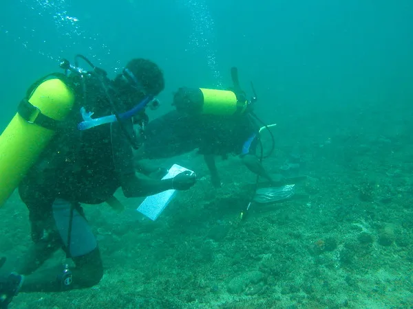  Annual coral reef monitoring with recently trained community members in Kiunga Marine National Reserve (2002).