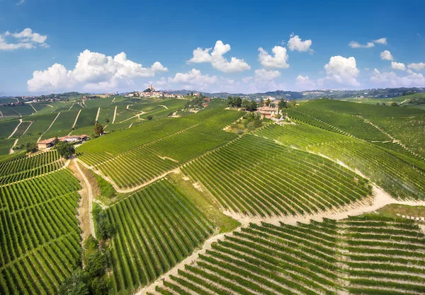 Vineyards of Pio Cesare in Barolo and Barbaresco