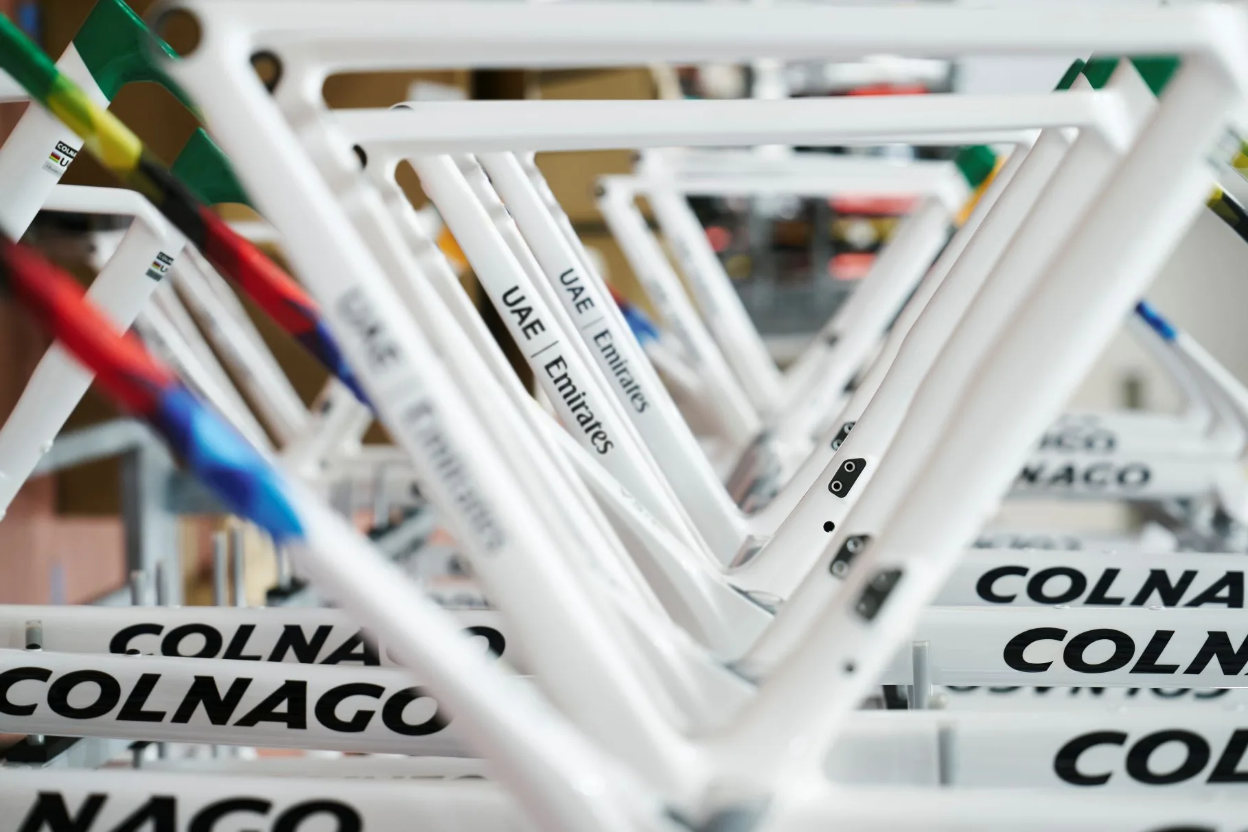 Colnago frames showing the brand’s distinctive Gilco tube profiles, a signature of Ernesto Colnago’s frame design.