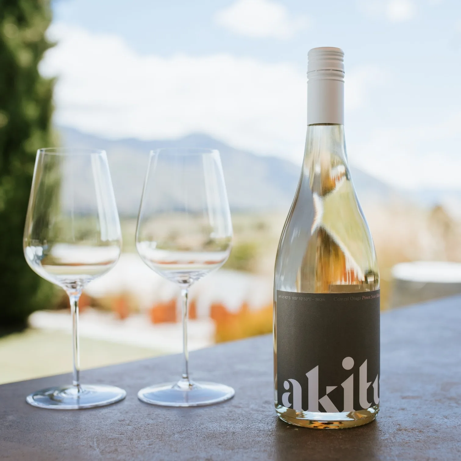 Akitu Pinot Noir Blanc 2021