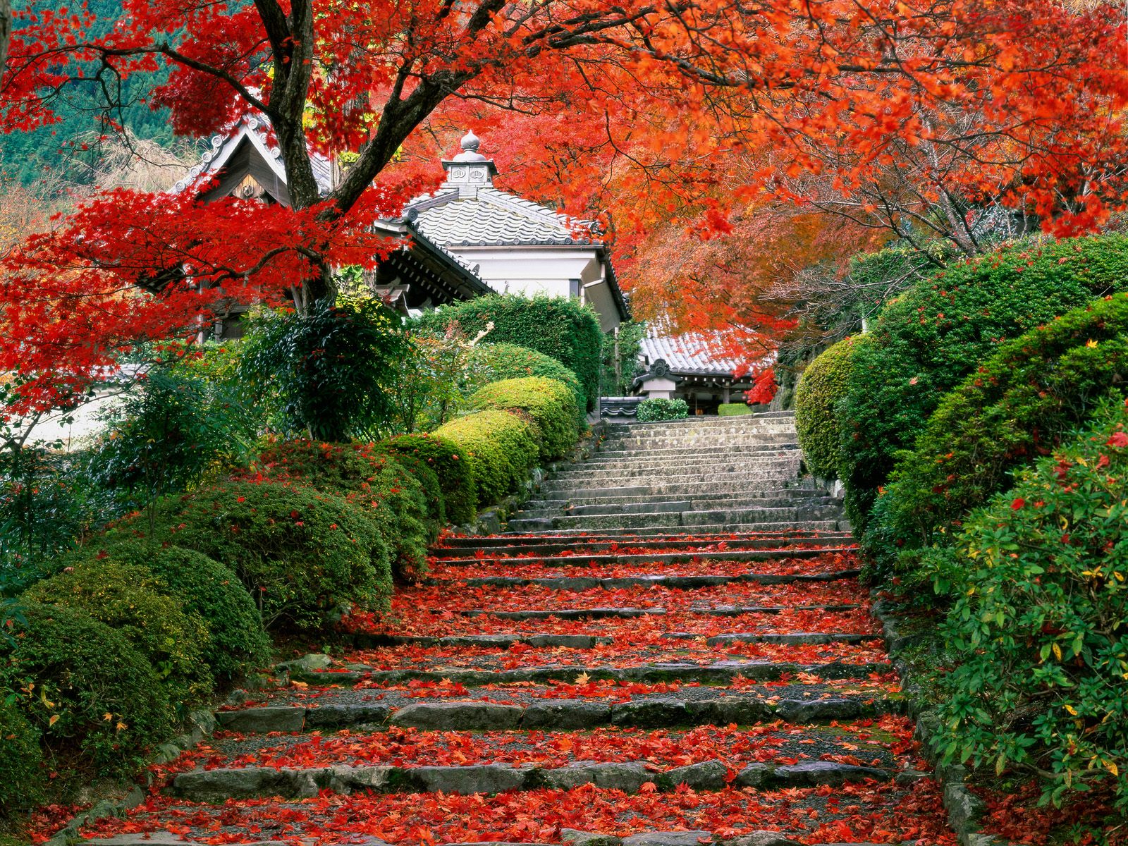 Garden Staircase