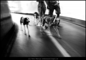 Stockholm Street 2015