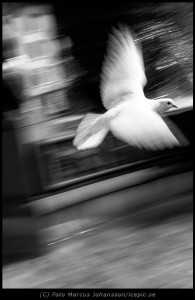 Street fotokonst