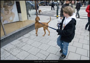 Stockholm Street Mars
