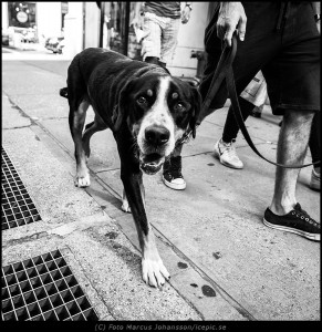 On Third Avenue