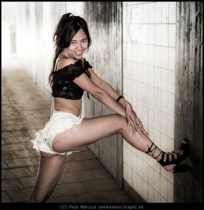 Modell Havis
