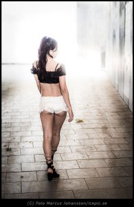 Modell Havis