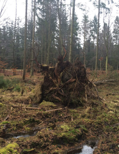 LandArt - rebild, Ida Bentinger