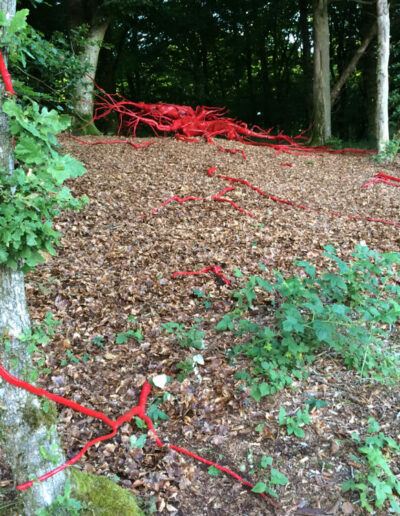 LandArt - rebild, Ida Bentinger