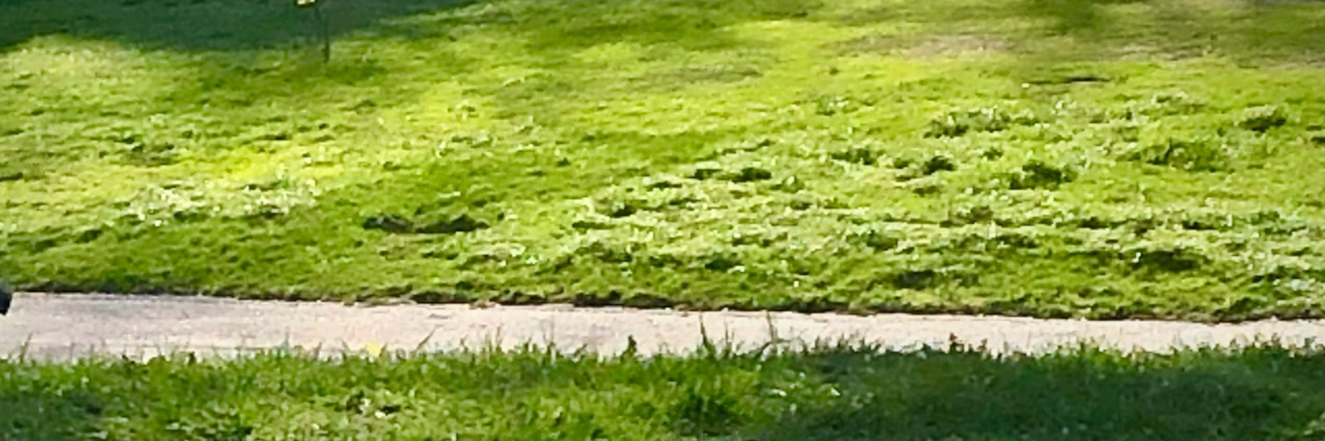Gångväg1