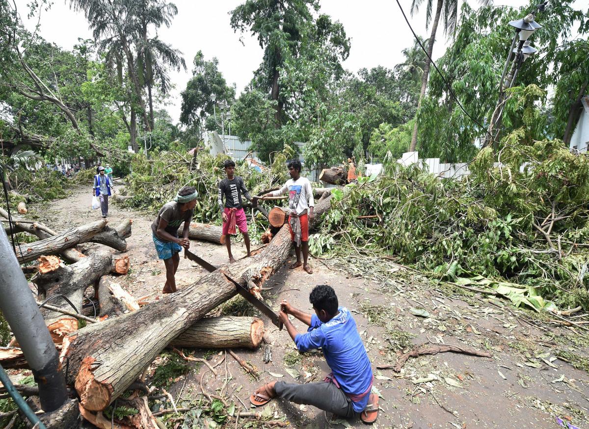 Lokal folk er ved at skære fallede træerne op