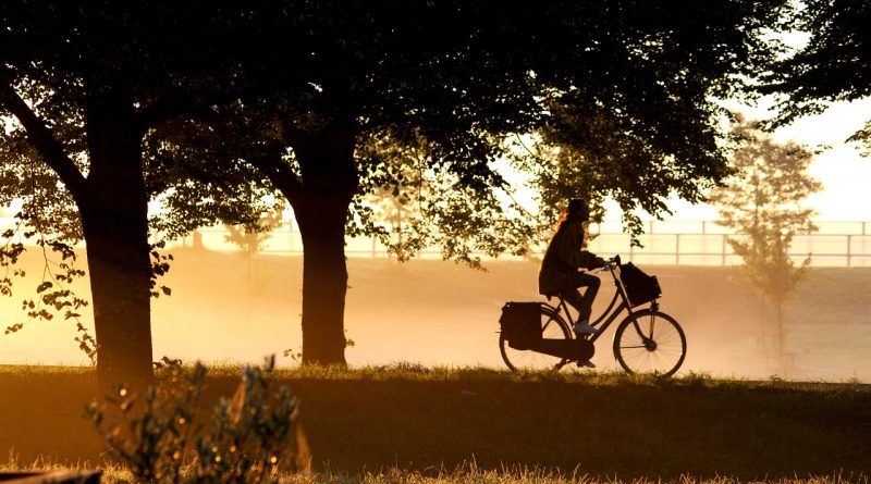 39% van de Belgen fiets minstens een deel van het woon-werk traject.