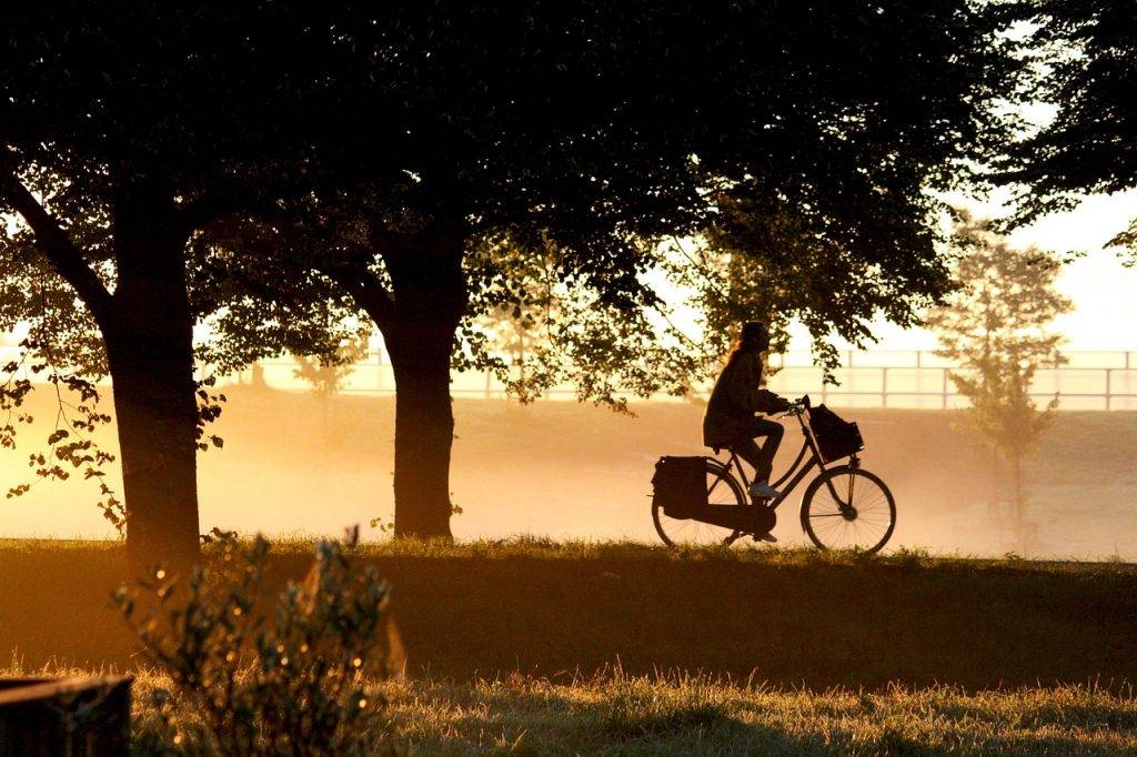 39% van de Belgen fiets minstens een deel van het woon-werk traject.