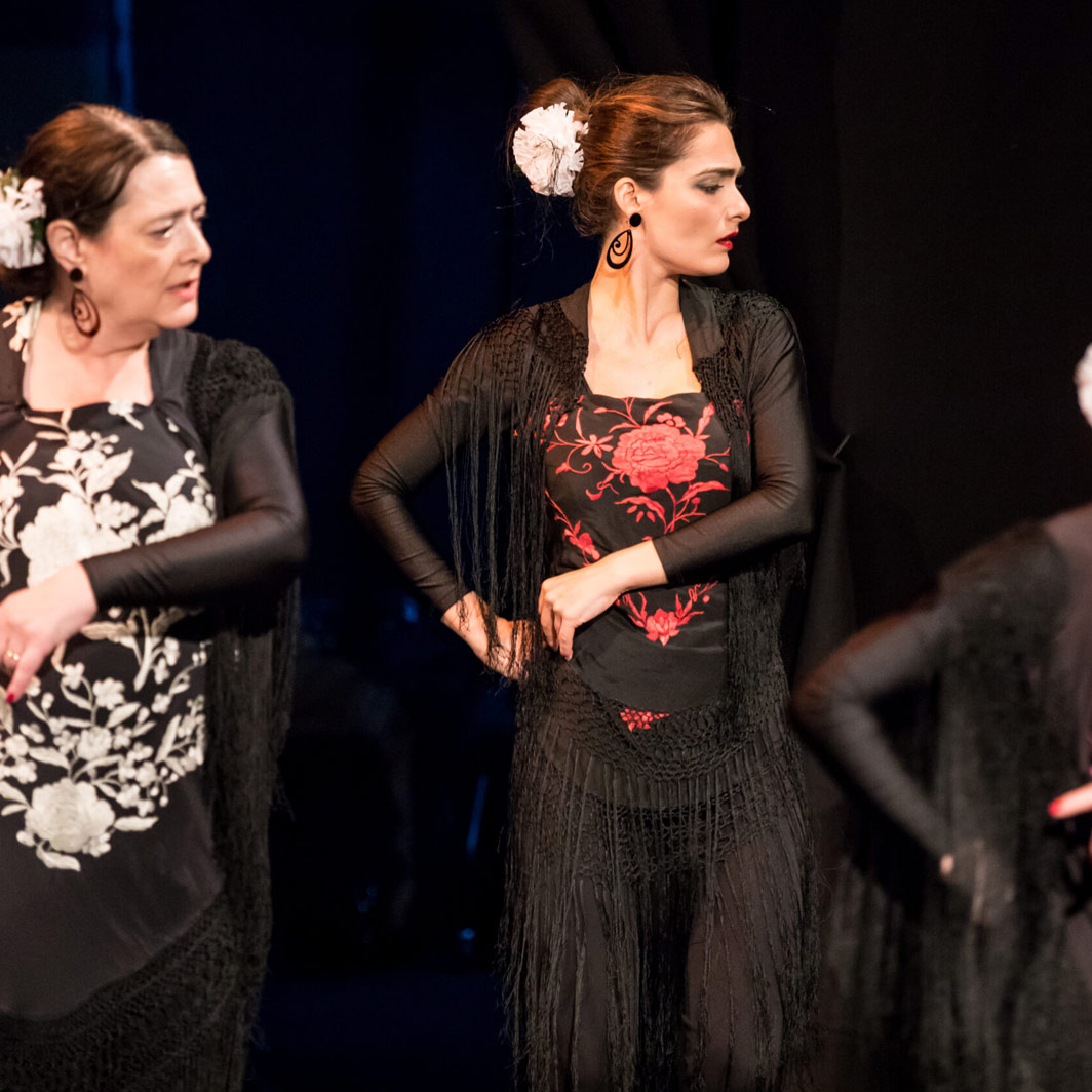 Read more about the article Intermediate Flamenco Course