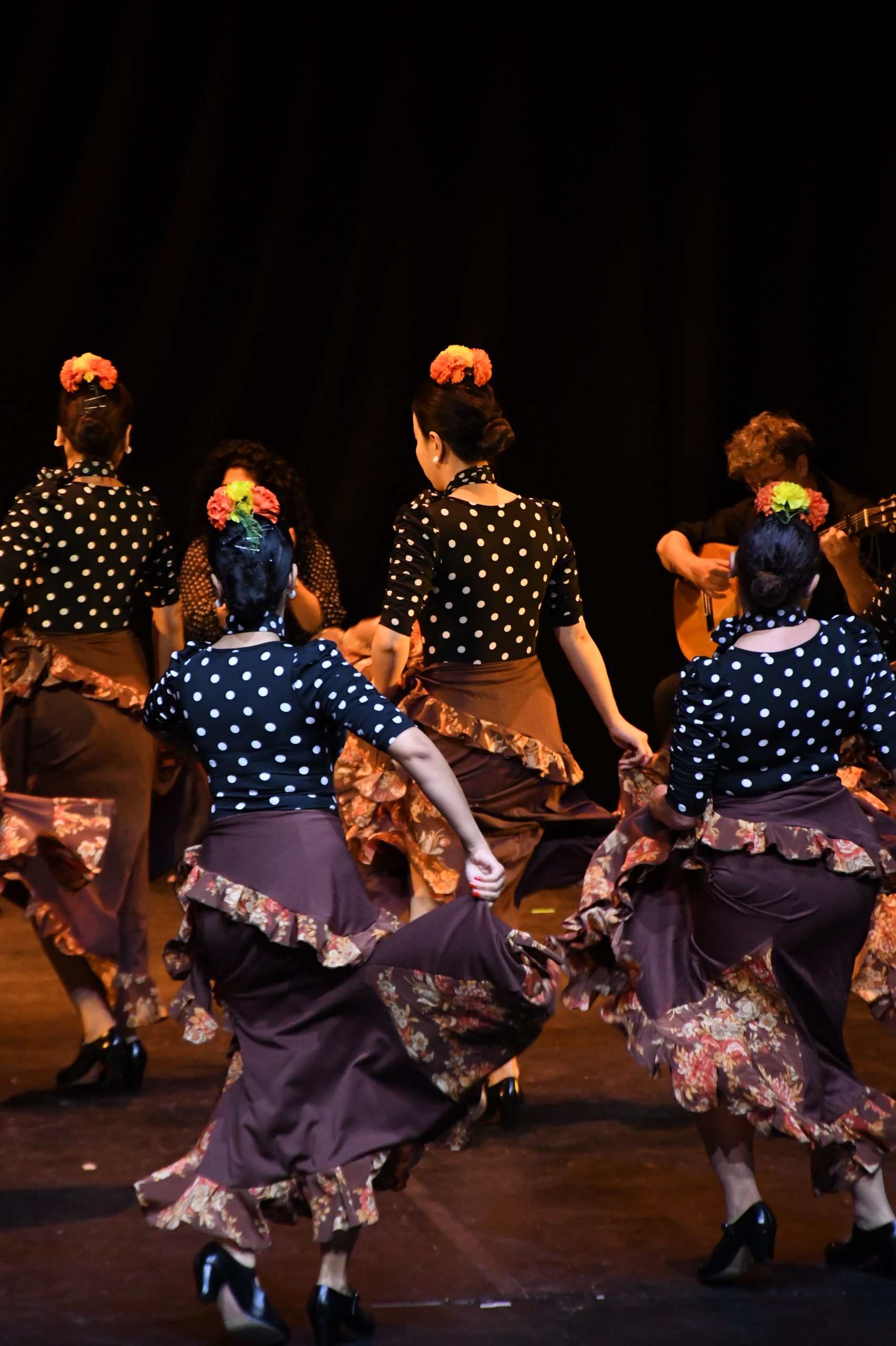 Read more about the article Beginners Elementary Flamenco Workshop