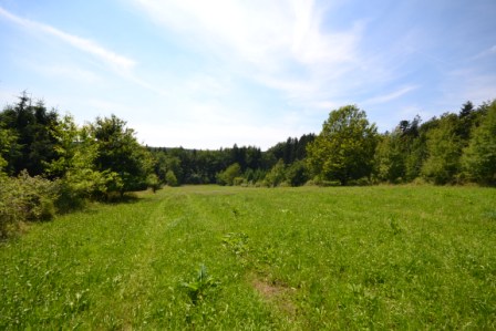 Grundstück