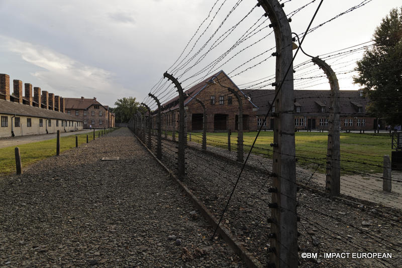 Camp d'extermination d'Auschwitz I(Pologne)