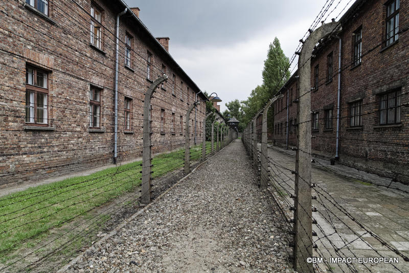 Camp d'extermination d'Auschwitz I(Pologne)