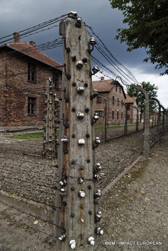 Camp d'extermination d'Auschwitz I(Pologne)