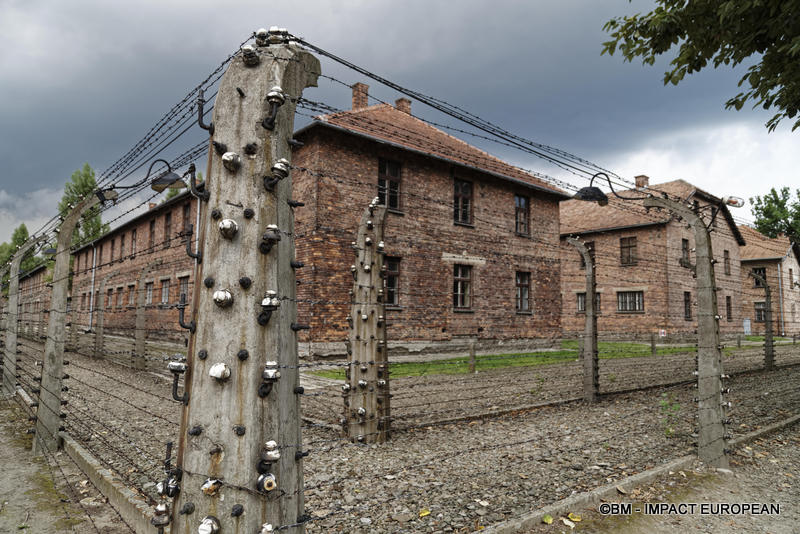 Camp d'extermination d'Auschwitz I(Pologne)