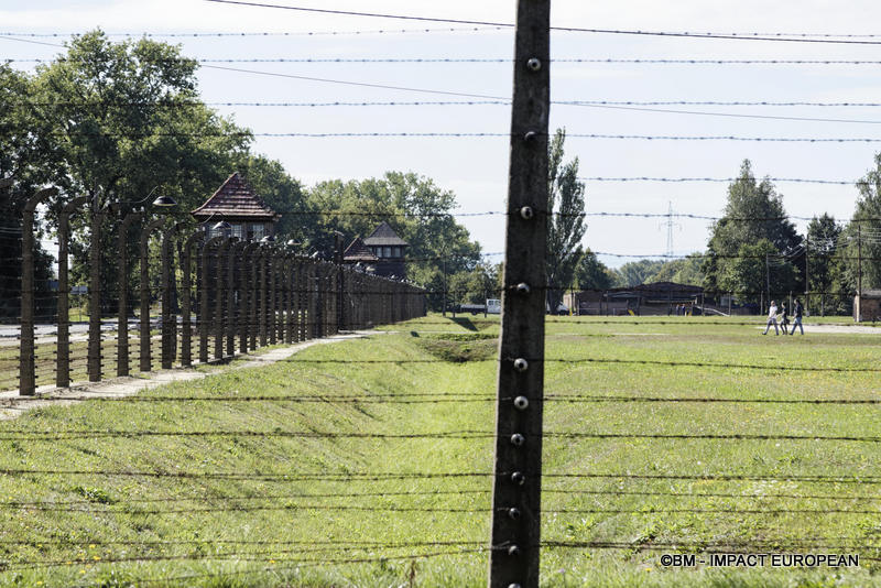 Camp d'extermination d'Auschwitz II-Birkenau (Pologne)