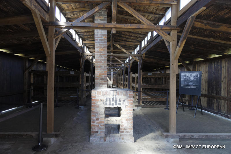 Camp d'extermination d'Auschwitz II-Birkenau (Pologne)