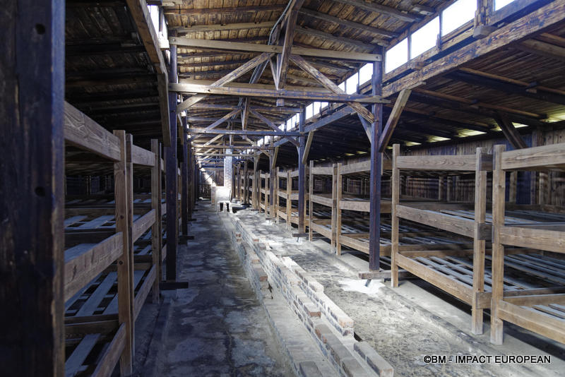 Camp d'extermination d'Auschwitz II-Birkenau (Pologne)