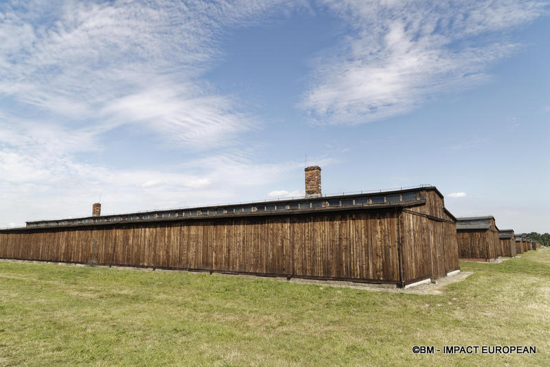 Camp d'extermination d'Auschwitz II-Birkenau (Pologne)