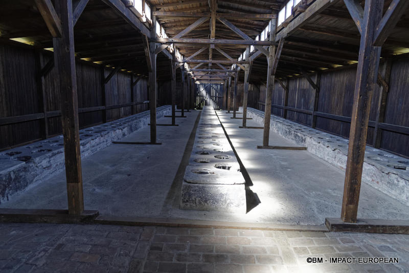 Camp d'extermination d'Auschwitz II-Birkenau (Pologne)