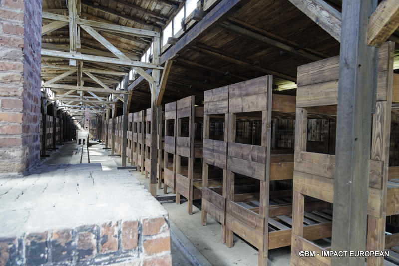 Camp d'extermination d'Auschwitz II-Birkenau (Pologne)