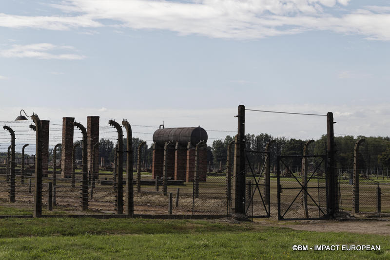 Camp d'extermination d'Auschwitz II-Birkenau (Pologne)