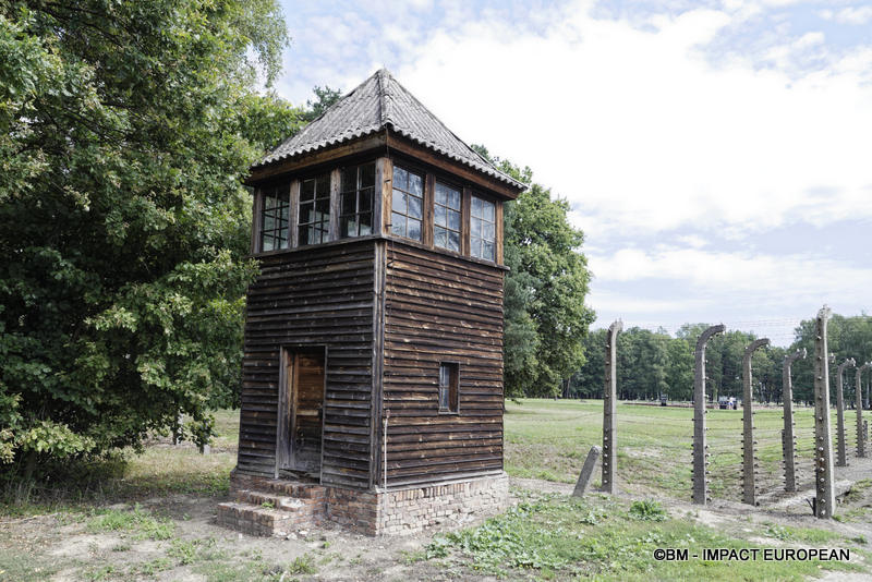 Camp d'extermination d'Auschwitz II-Birkenau (Pologne)