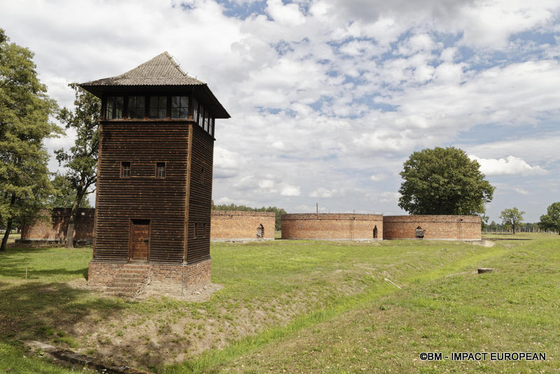 Camp d'extermination d'Auschwitz II-Birkenau (Pologne)