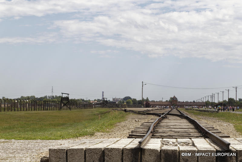 Camp d'extermination d'Auschwitz II-Birkenau (Pologne)