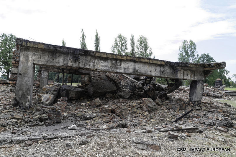 Camp d'extermination d'Auschwitz II-Birkenau (Pologne)