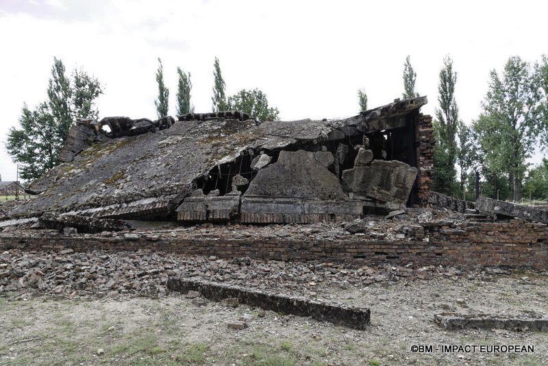 Camp d'extermination d'Auschwitz II-Birkenau (Pologne)