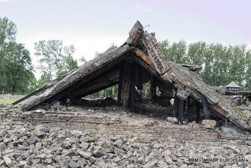 Camp d'extermination d'Auschwitz II-Birkenau (Pologne)