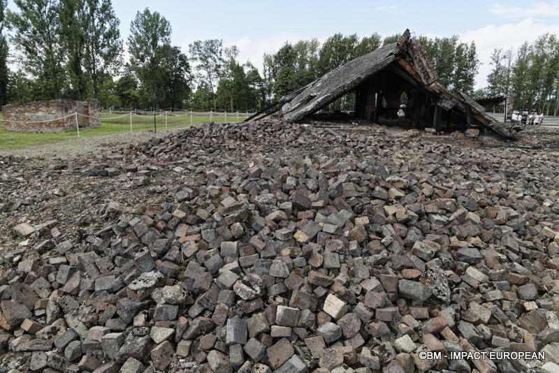 Camp d'extermination d'Auschwitz II-Birkenau (Pologne)