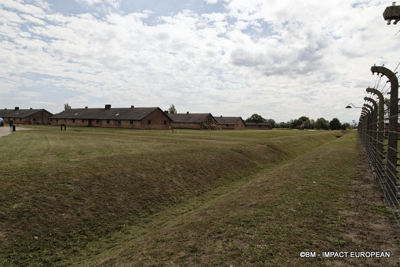 Camp d'extermination d'Auschwitz II-Birkenau (Pologne)