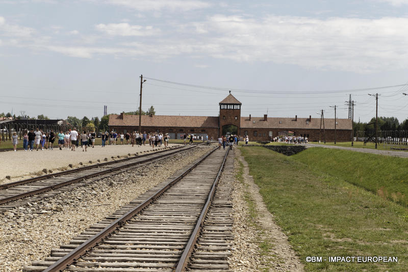 Camp d'extermination d'Auschwitz II-Birkenau (Pologne)