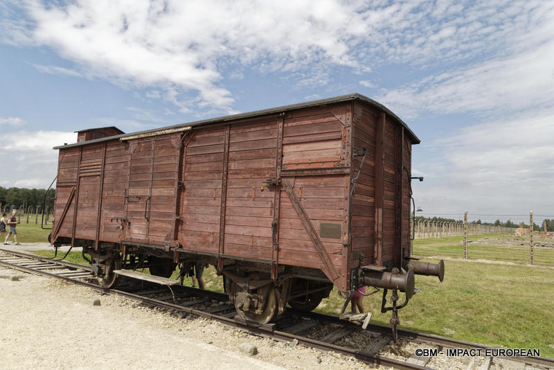 Camp d'extermination d'Auschwitz II-Birkenau (Pologne)