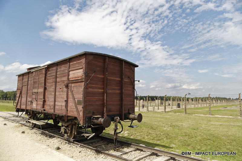 Camp d'extermination d'Auschwitz II-Birkenau (Pologne)