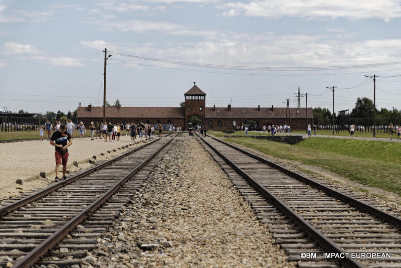 Camp d'extermination d'Auschwitz II-Birkenau (Pologne)