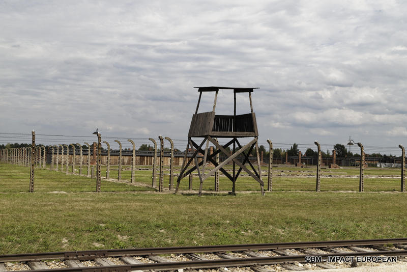 Camp d'extermination d'Auschwitz II-Birkenau (Pologne)