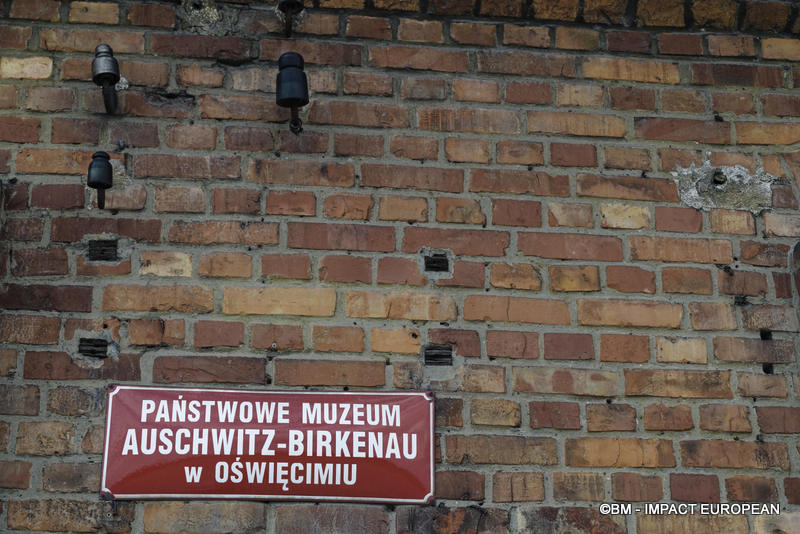 Camp d'extermination d'Auschwitz II-Birkenau (Pologne)