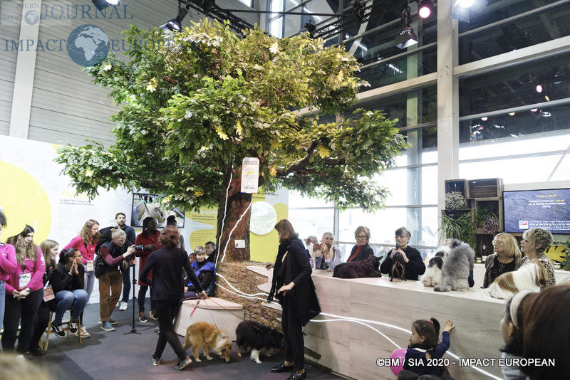 Le Concours général agricole au 57ème Salon de l'agriculture.