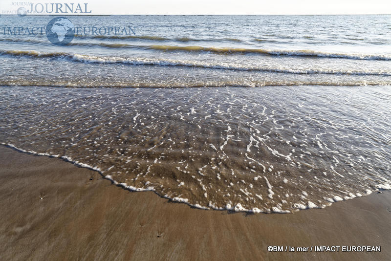 La Faute sur mer après réouverture des plages